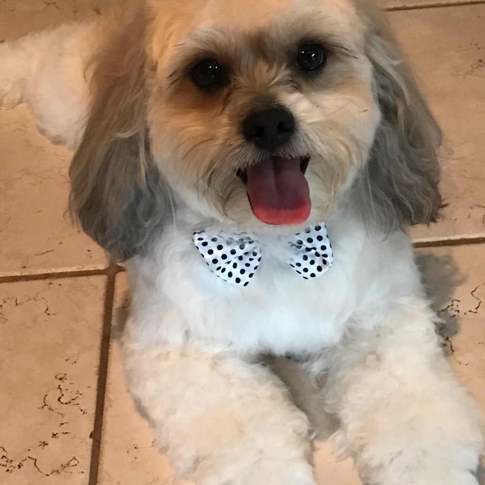 Meet your Posher, Kathy